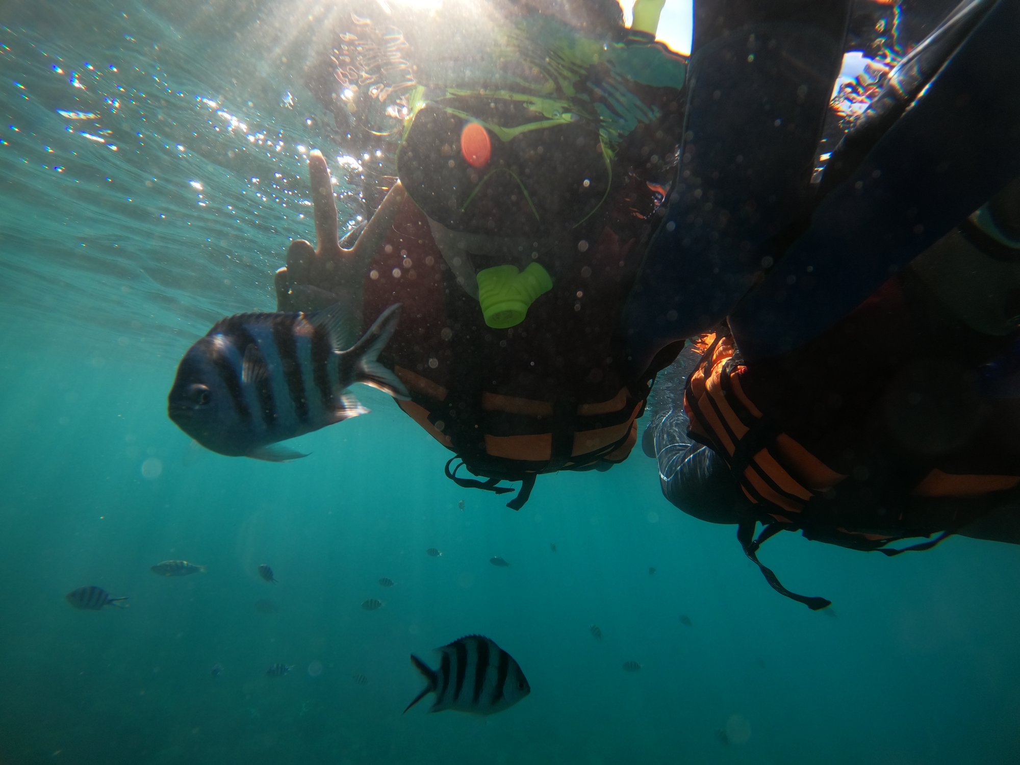 澎湖旅遊-海底郵筒浮潛